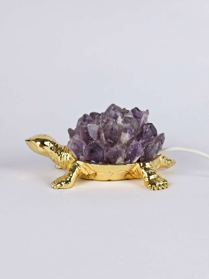 Amethyst electric tortoise