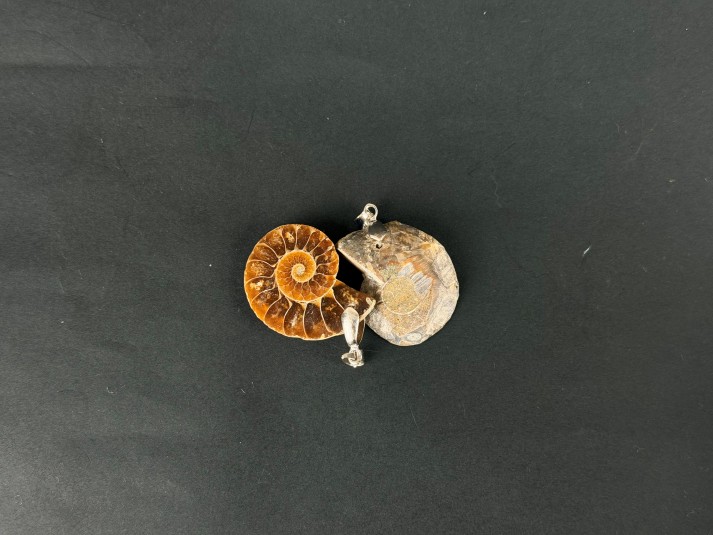 Ammonite Pendant