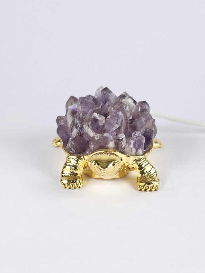 Amethyst electric tortoise