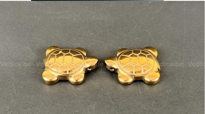 Pyrite tortoise (single piece)