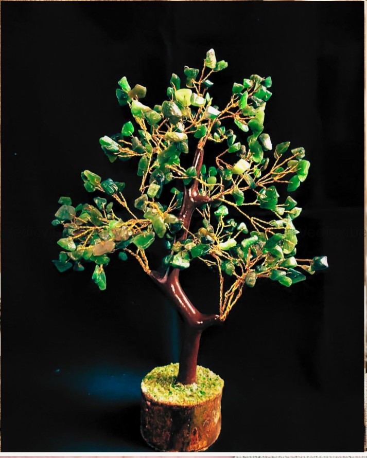 Green Jade Tree