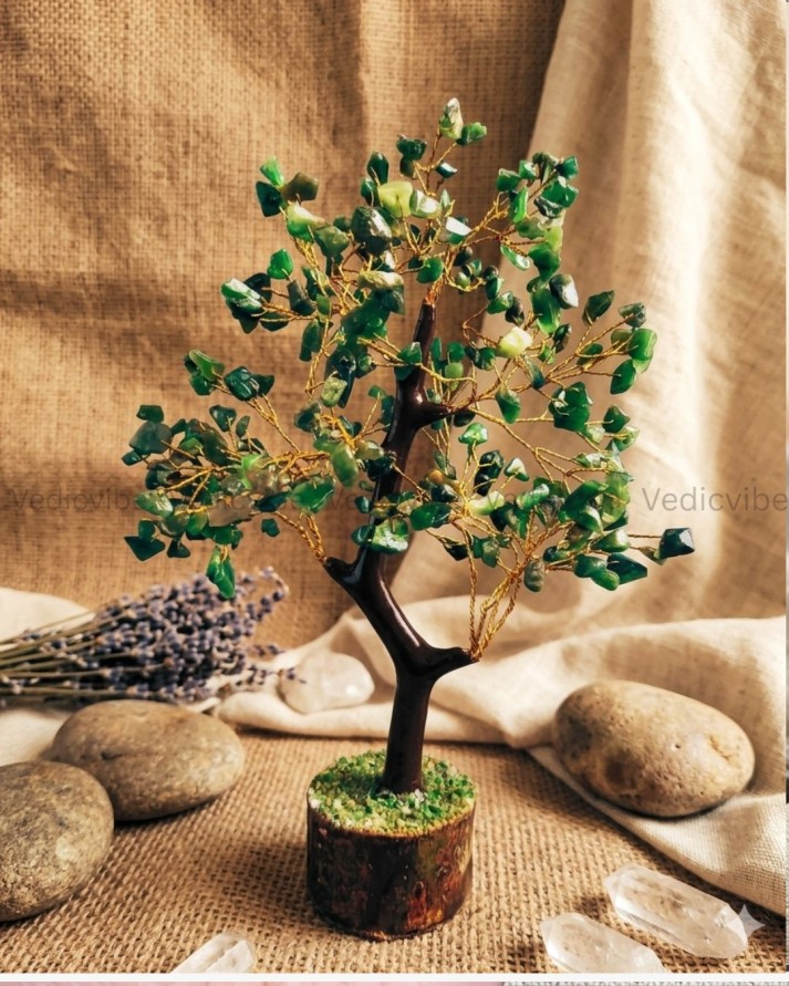 Green Jade Tree